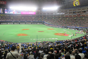 野球観戦で盛り上がりました!!