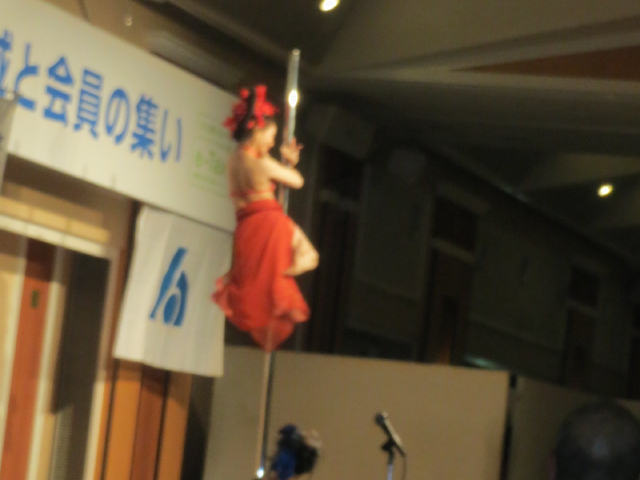 アトラクションポールダンス